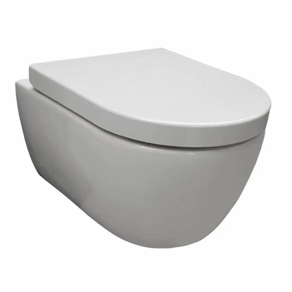 1765095416042-9d208336-35f8-4416-8293-3967916bdd3a Saniful Wandcloset Rimfree compact met softclose zitting